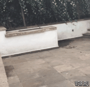 Гифки разные Гифки разные