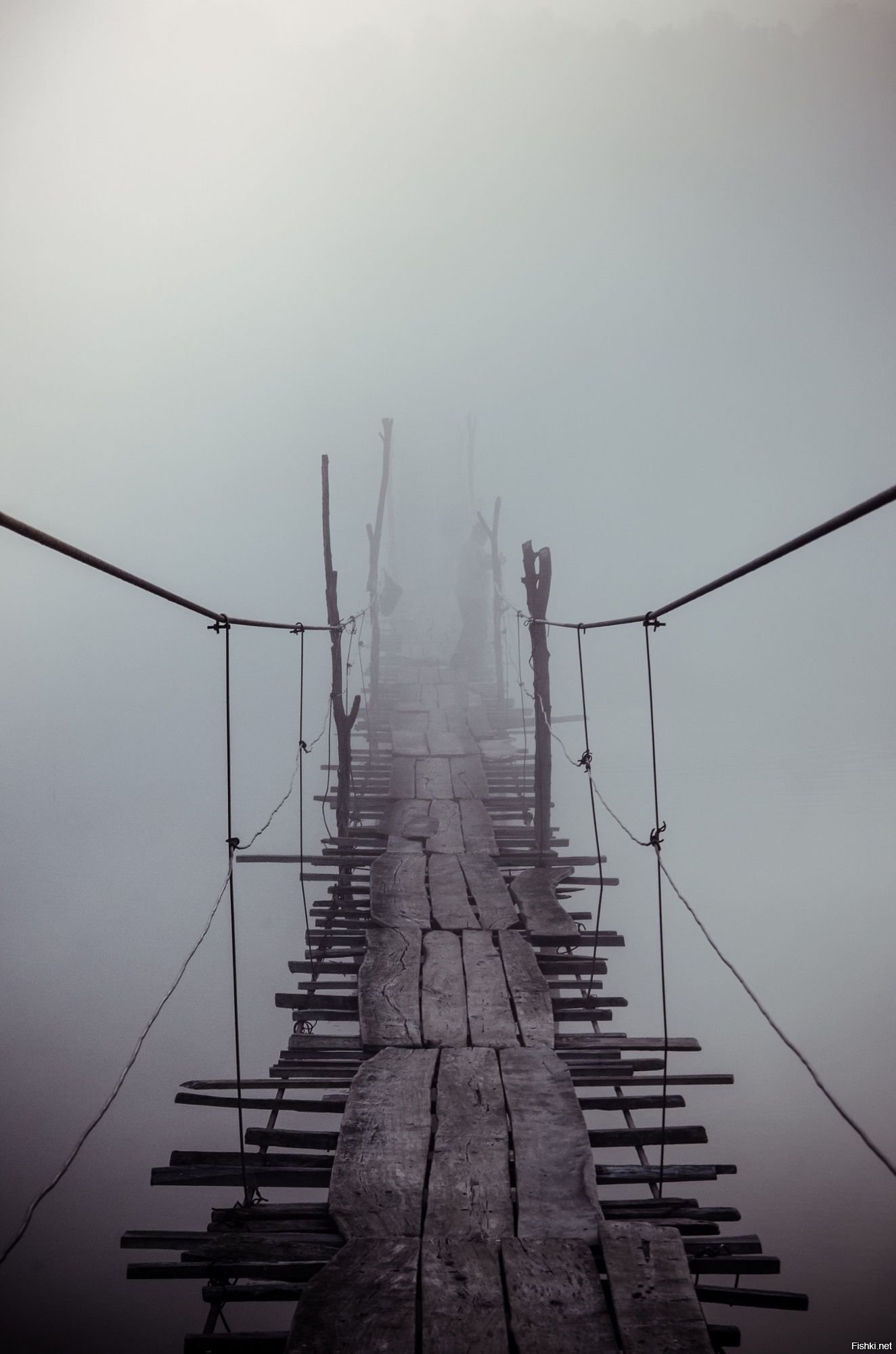 мост над бездной фото