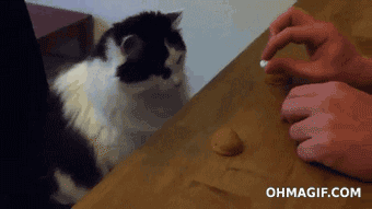 Гифки разные