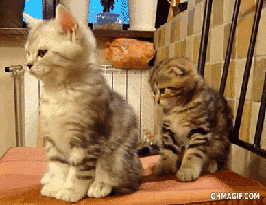 Гифки разные