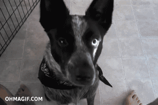 Гифки разные