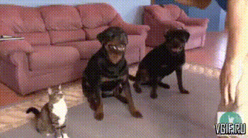 Гифки разные