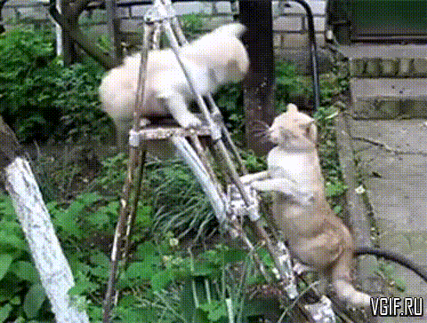 Гифки разные