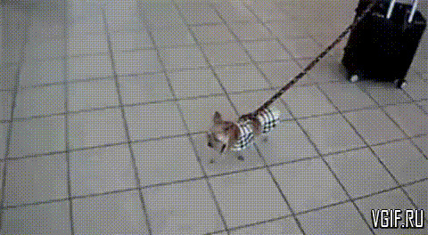 Гифки разные