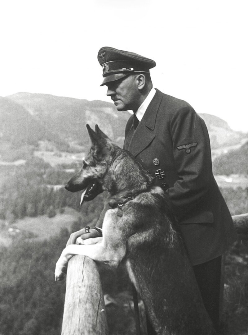 Собаки А. Гитлера