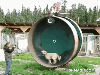 Гифки разные