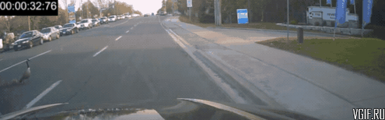 Гифки разные