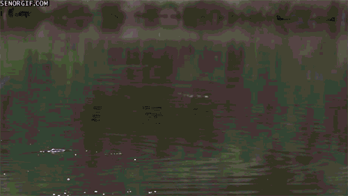 Гифки разные