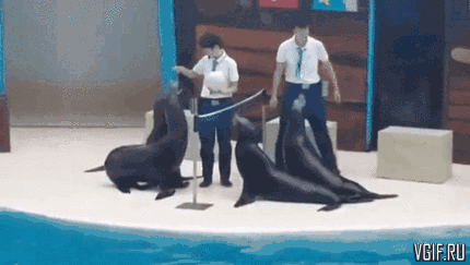 Гифки разные