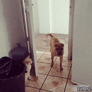 Гифки разные