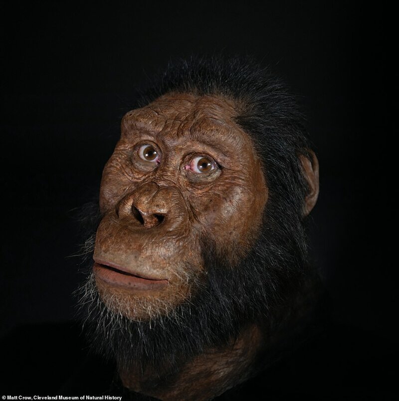 "Это меняет наше понимание эволюции человека в плиоцене", - сказал Йоханнес Хайле-Селассие