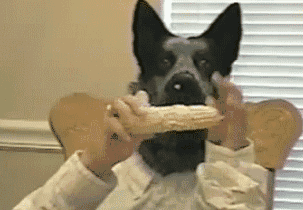 Гифки всякие