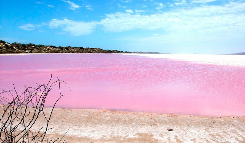 Примеры розовых озер
