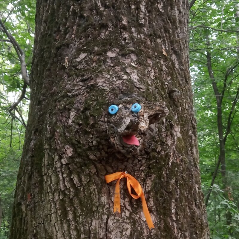 Когда застрял в дереве