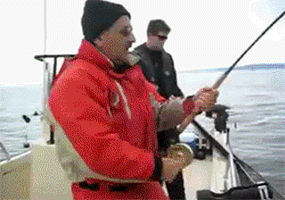 Гифки разные