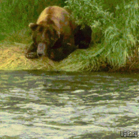 Гифки разные