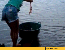 Гифки разные