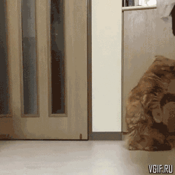 Гифки разные