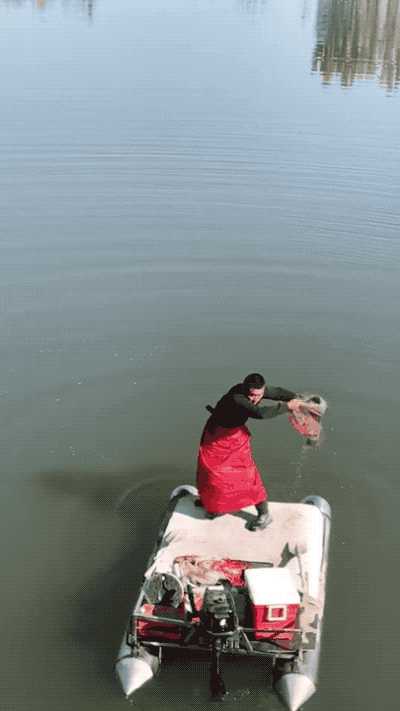 Гифки разные