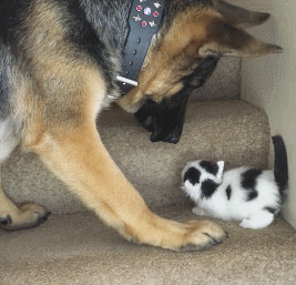 Гифки разные