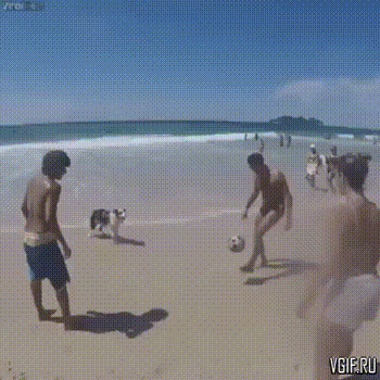 Гифки разные