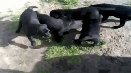 Гифки всякие