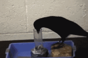 Гифки всякие