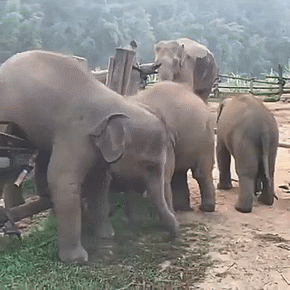 Гифки разные