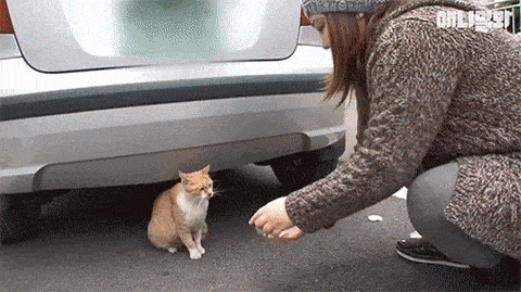 Гифки разные