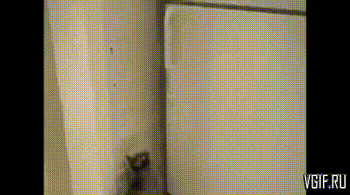 Гифки разные