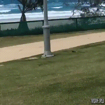 Гифки разные