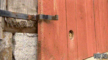 Гифки разные