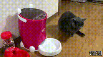 Гифки разные