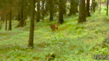 Гифки разные