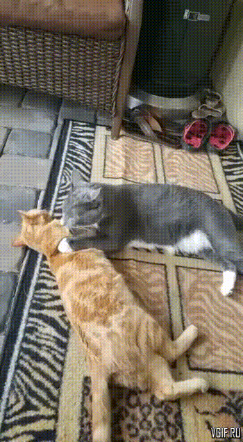 Гифки разные