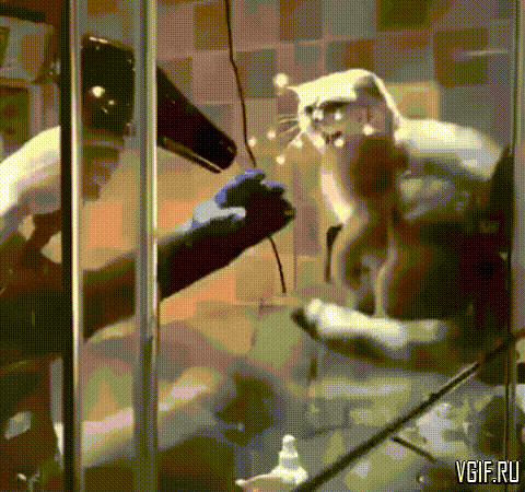 Гифки разные