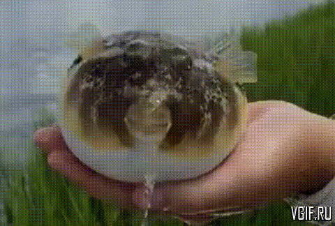 Гифки разные