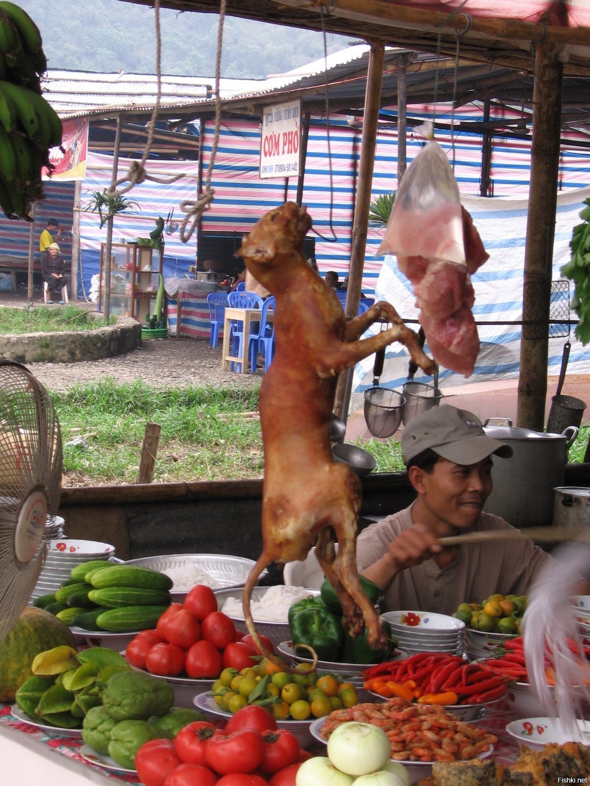 Шашлык из кошки фото