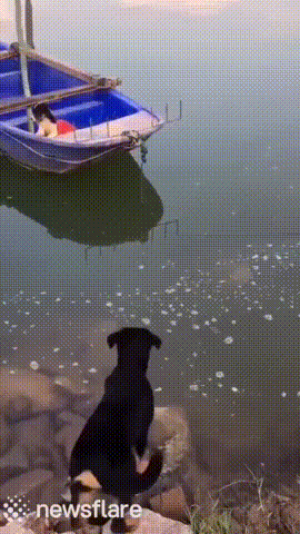 Гифки разные