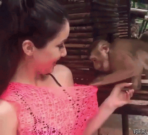 Гифки разные