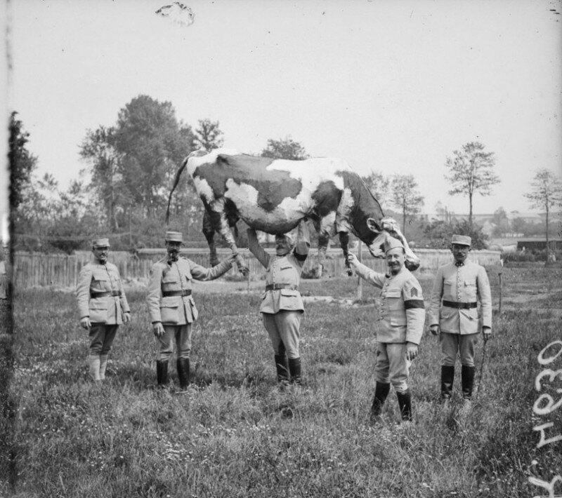 Это не конкурс силачей, просто французские солдаты демонстрируют корову из папье маше, которая использовалась в качестве укрытия для снайпера или наблюдателя на ничейной земле, Франция, 1916-1918.