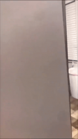 Застукали за чревоугодием