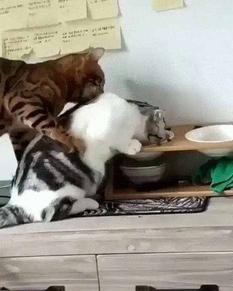 Забота о любимой