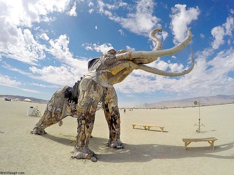45 фотографий с фестиваля Burning Man 2019 — самого пыльного и огненного события года
