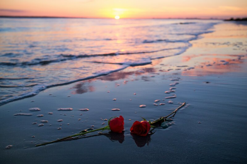 Розовая романтика Красного моря