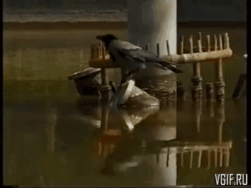 Гифки разные