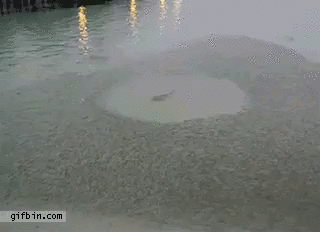 Гифки разные