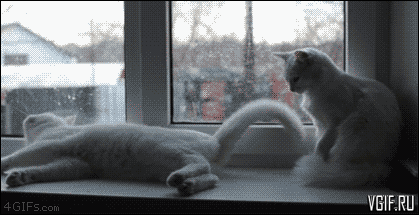 Гифки разные