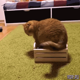 Гифки разные