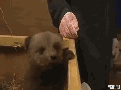 Гифки разные